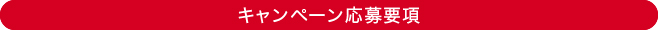 キャンペーン応募要項