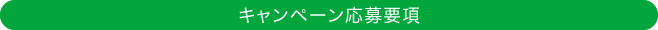 キャンペーン応募要項